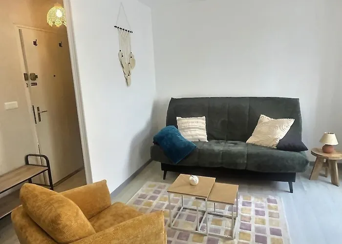 Chill Et Calme A Ideal Couples Et Professionnels Apartment *