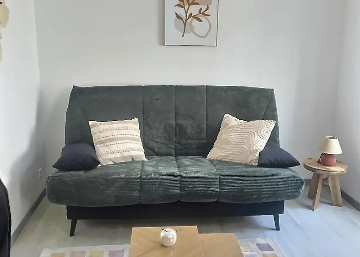 Chill Et Calme A Ideal Couples Et Professionnels Apartment Reims